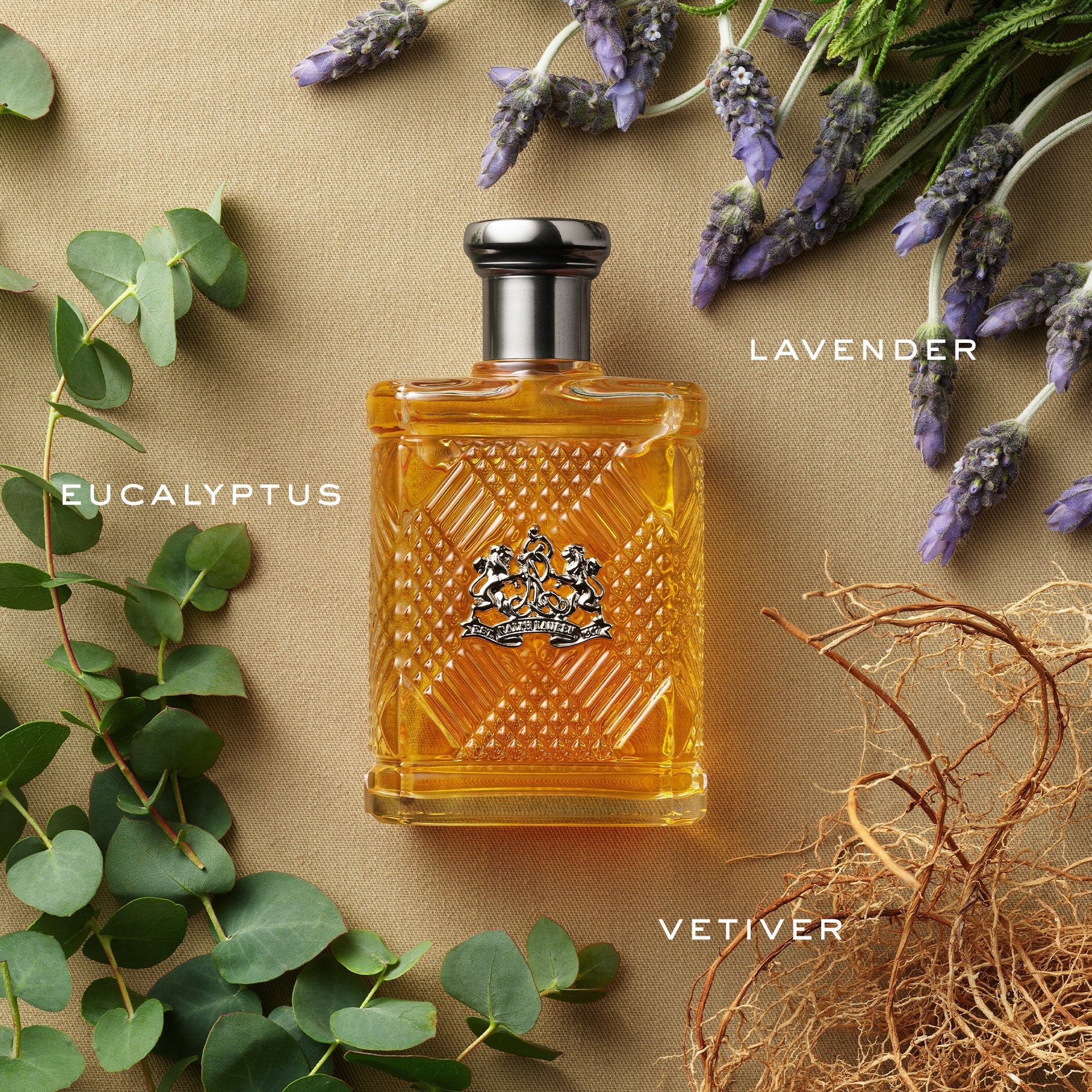 RALPH LAUREN SAFARI FOR MEN EDT 125ML Secondary image