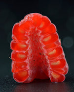 Red Raspberry