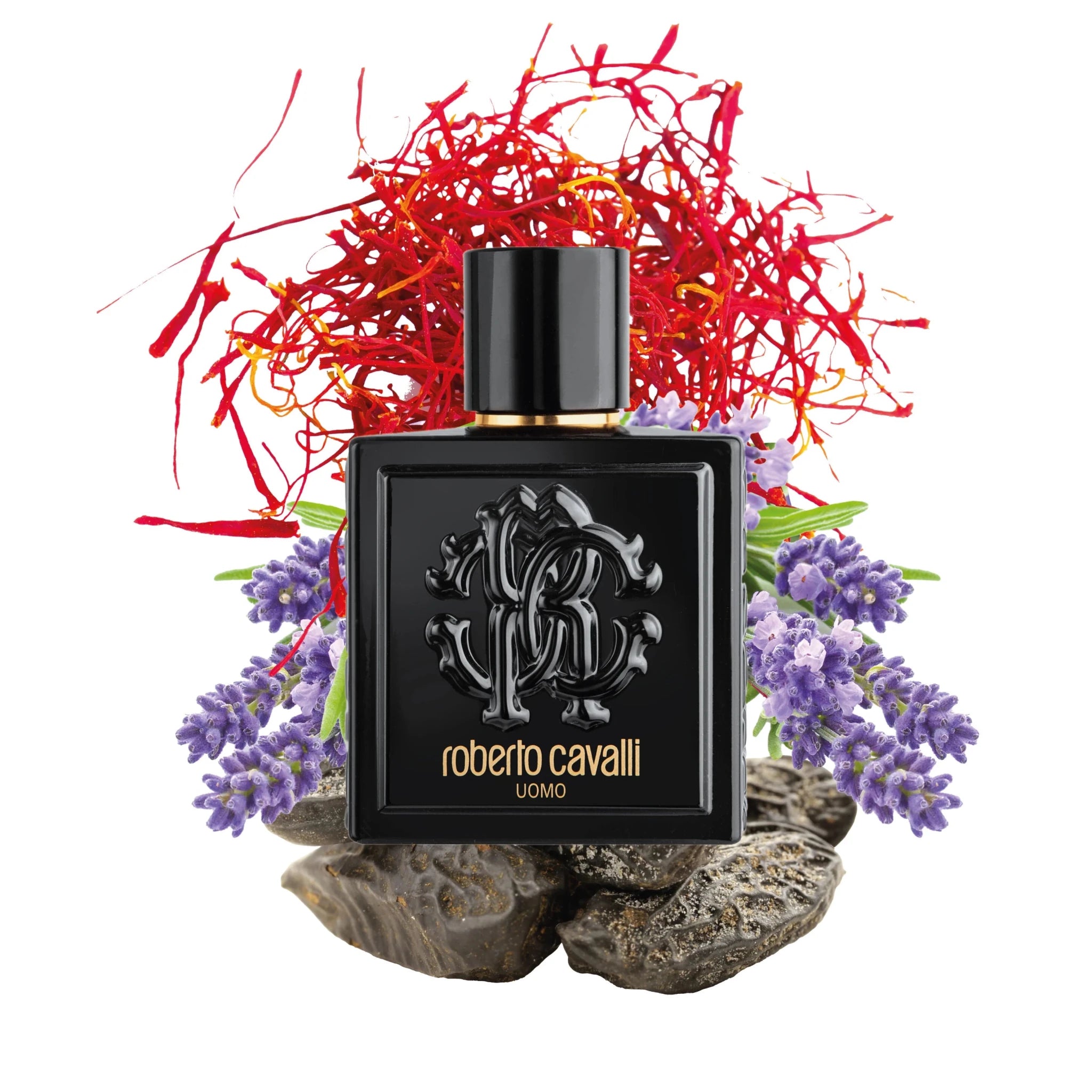 ROBERTO CAVALLI UOMO FOR MEN EDT 100ML - Al Himyan Perfumes | عطور هميان | Oud & Luxury Fragrances - Roberto Cavalli