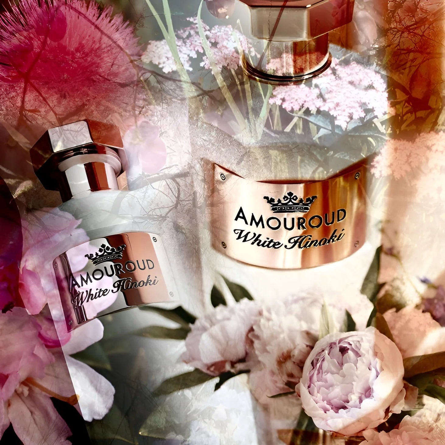 AMOUROUD WHITE HINOKI UNISEX EDP 100ML - Al Himyan Perfumes | عطور هميان | Oud & Luxury Fragrances - Amouroud