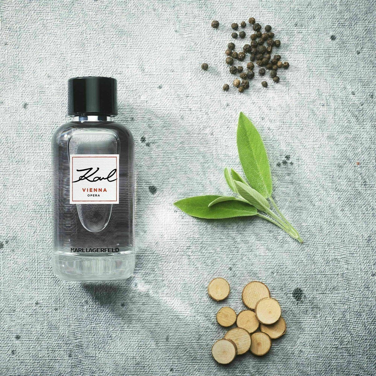 KARL LAGERFELD KARL VIENNA OPERA FOR MEN EDT 100ML - Al Himyan Perfumes | عطور هميان | Oud & Luxury Fragrances - KARL LAGERFELD