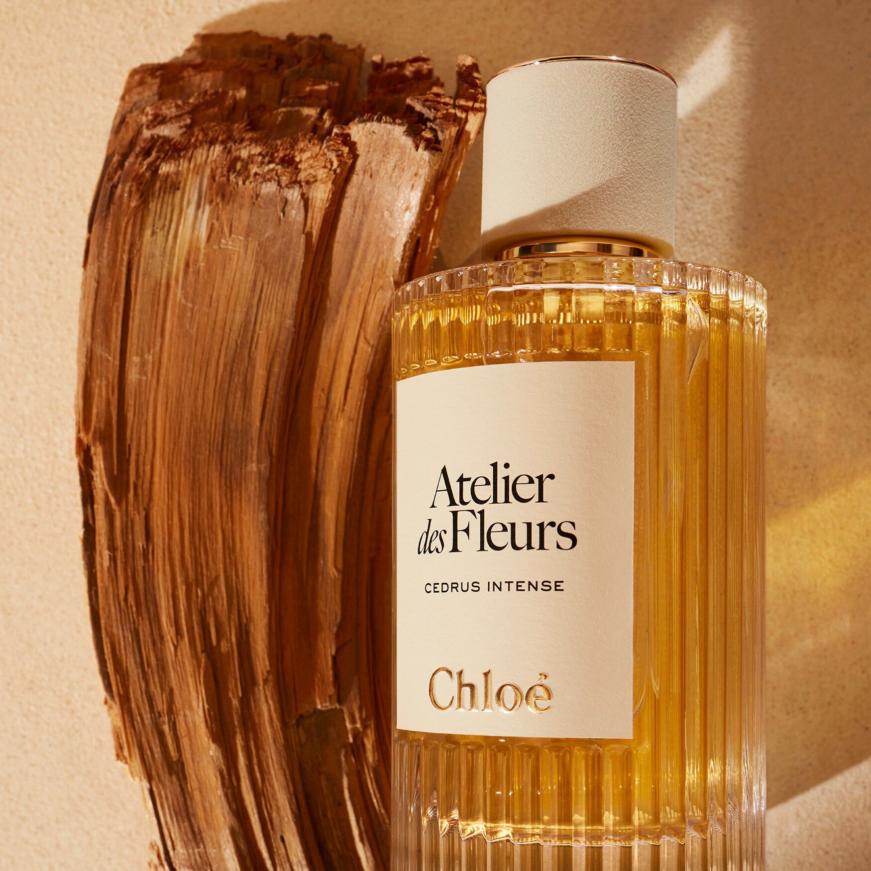 CHLOE ATELIER DES FLEURS CEDRUS INTENSE UNISEX EDP