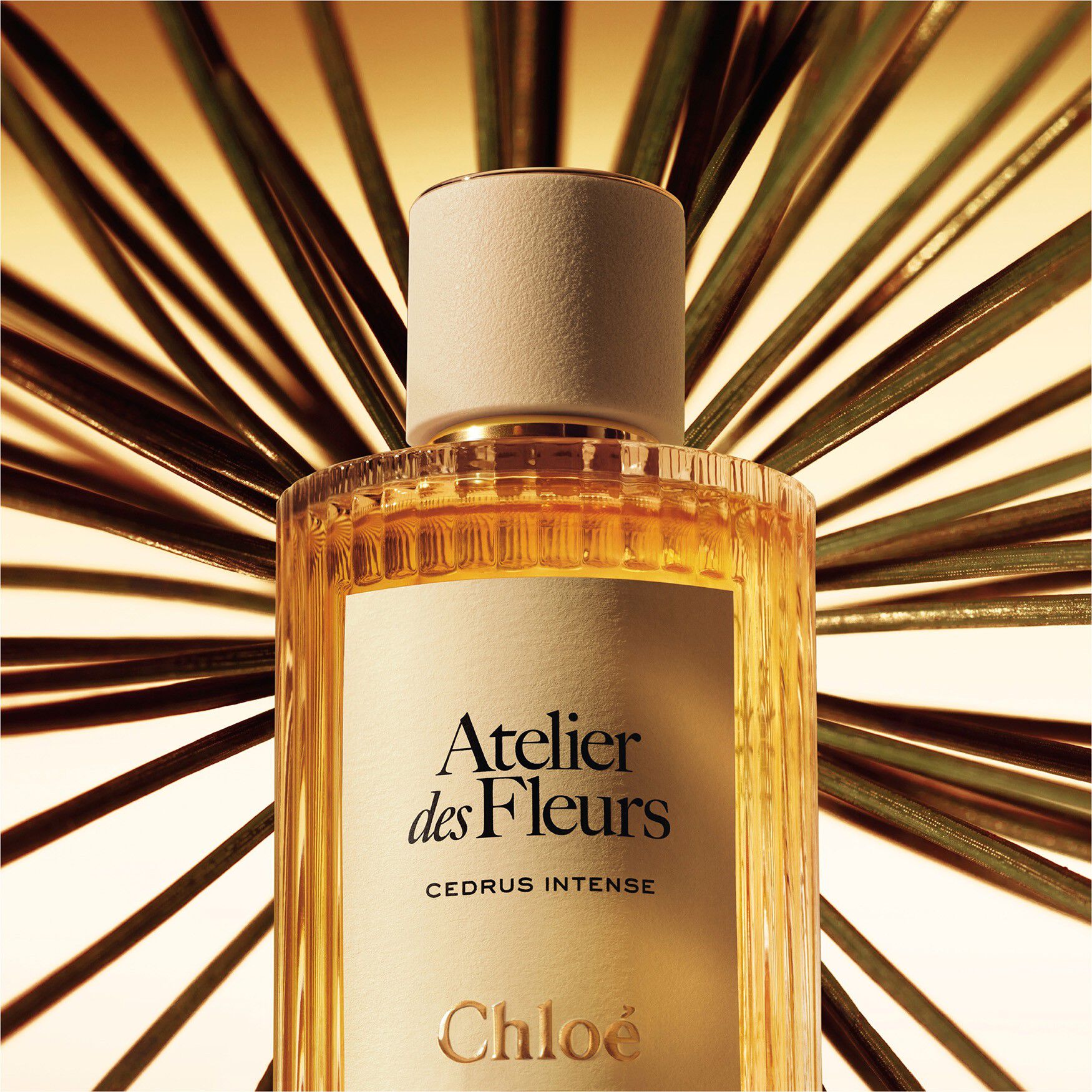CHLOE ATELIER DES FLEURS CEDRUS INTENSE UNISEX EDP
