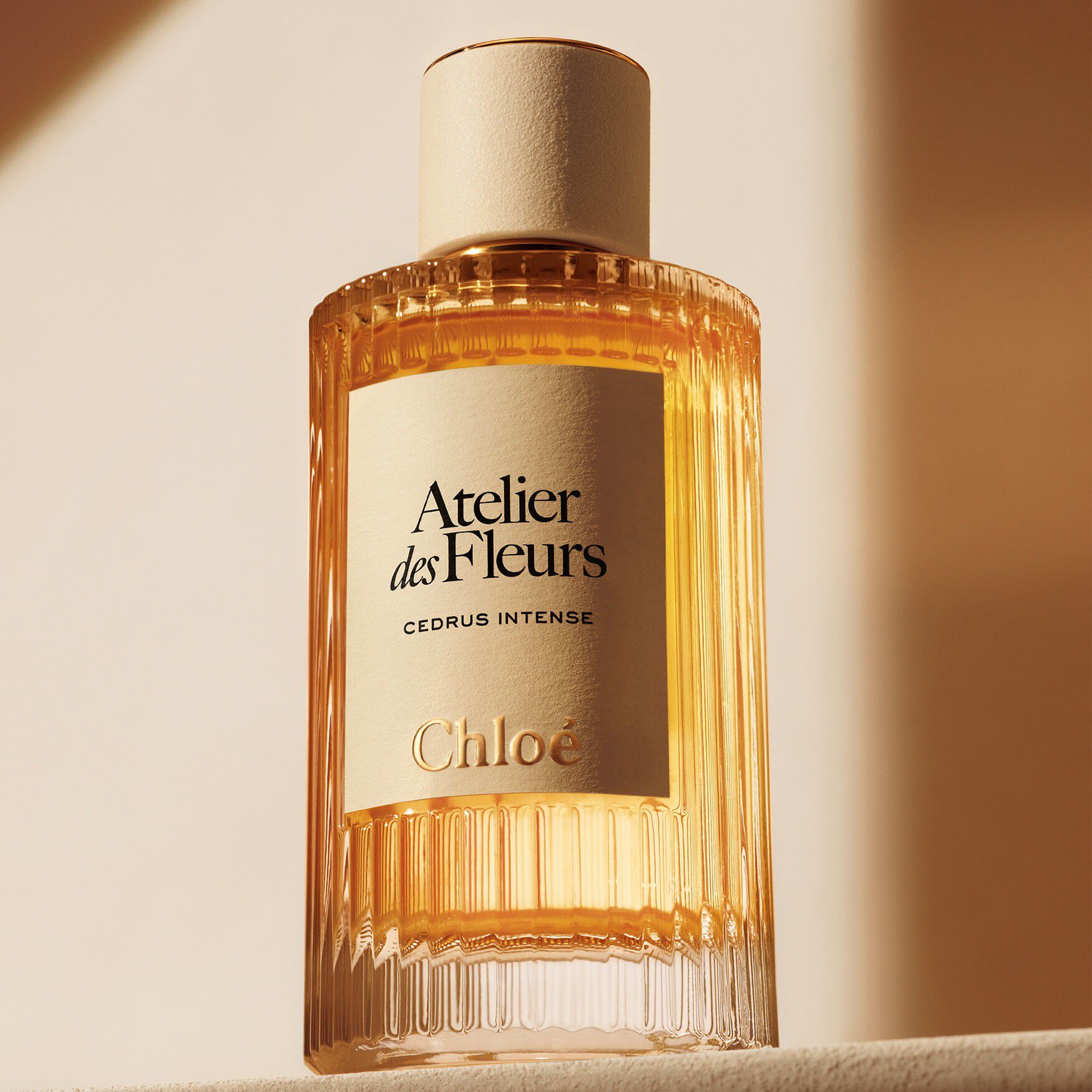 CHLOE ATELIER DES FLEURS CEDRUS INTENSE UNISEX EDP