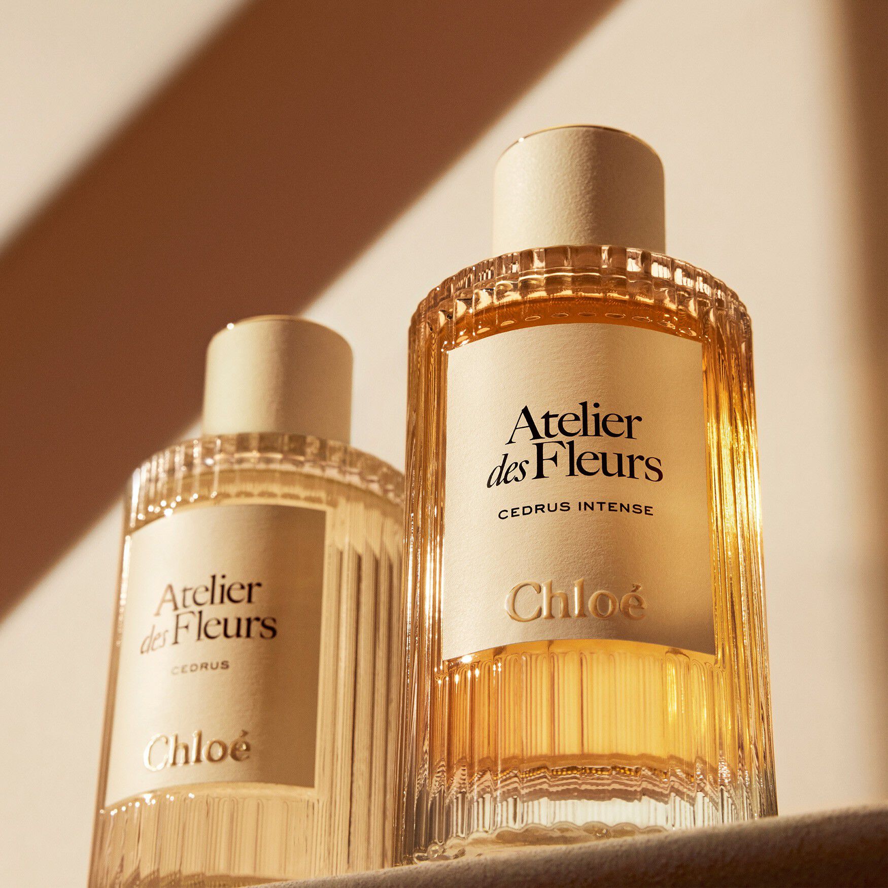 CHLOE ATELIER DES FLEURS CEDRUS INTENSE UNISEX EDP