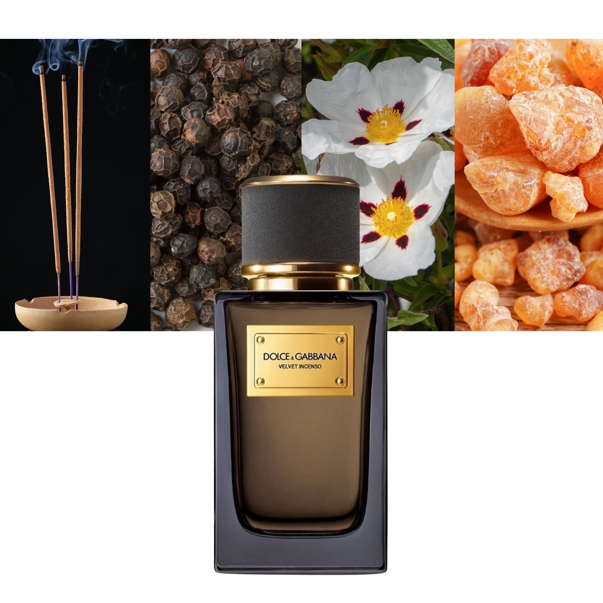 Dolce & Gabbana Velvet Incenso box