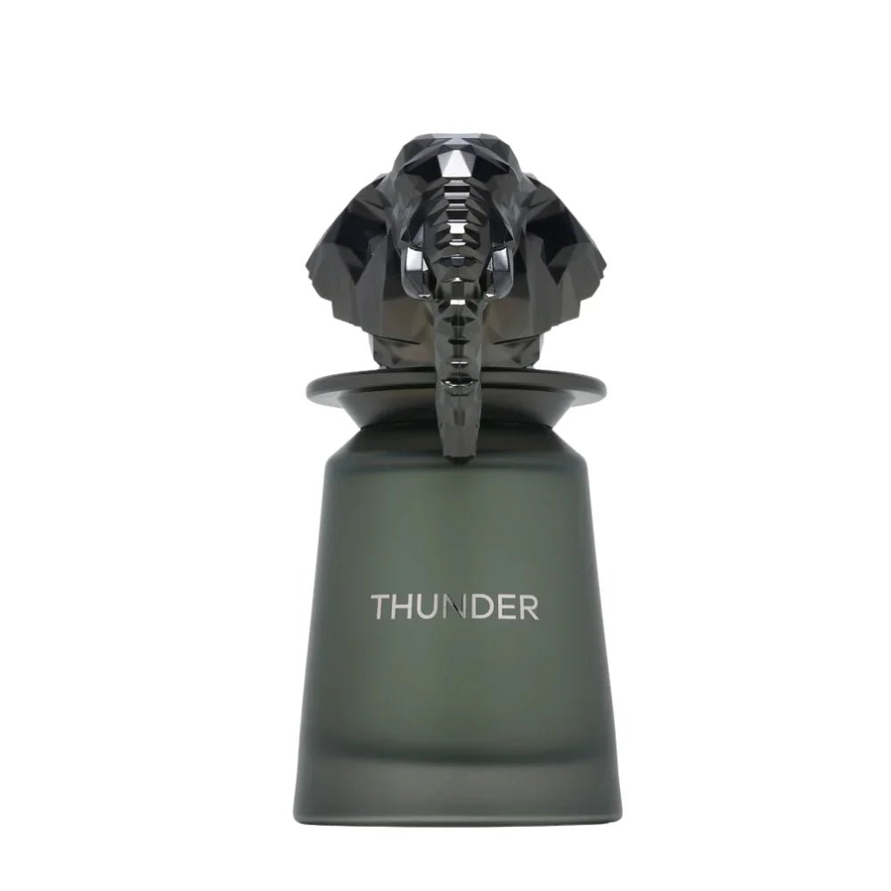 FRENCH AVENUE THUNDER FOR MEN EDP 100ML - Al Himyan Perfumes | عطور هميان | Oud & Luxury Fragrances - FRENCH AVENUE Main image