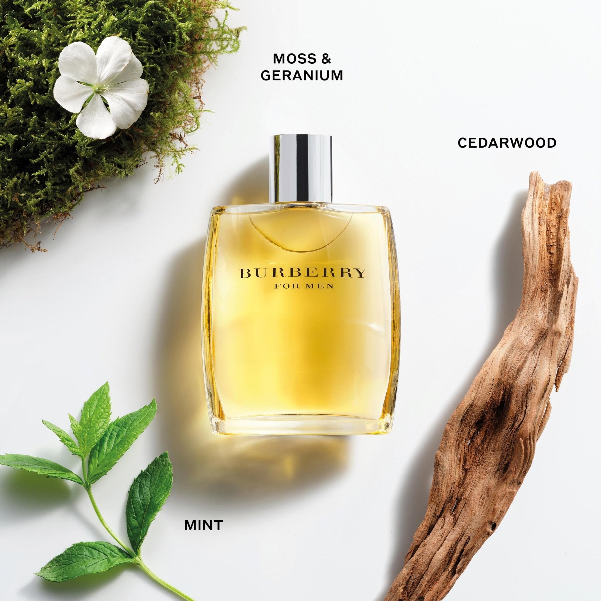 BURBERRY CLASSIC FOR MEN EDT Secondary image