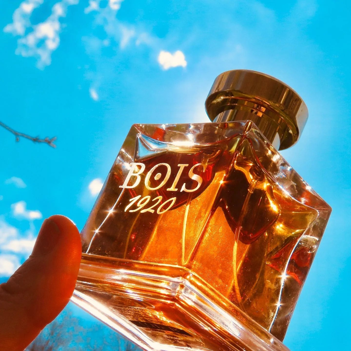 BOIS 1920 ELITE III UNISEX PARFUM 100ML - Al Himyan Perfumes | عطور هميان | Oud & Luxury Fragrances - BOIS 1920