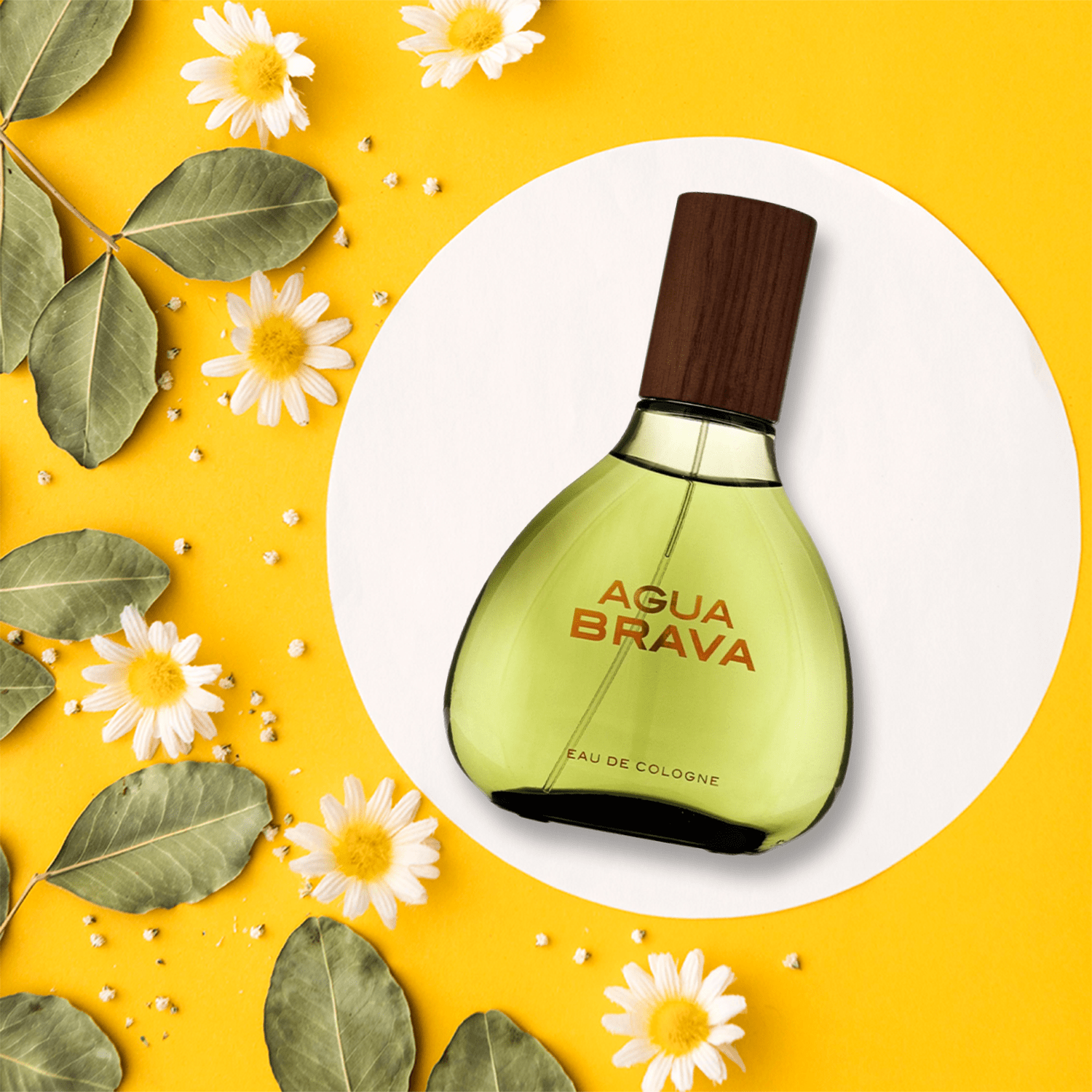 Antonio Puig Agua Brava bottle