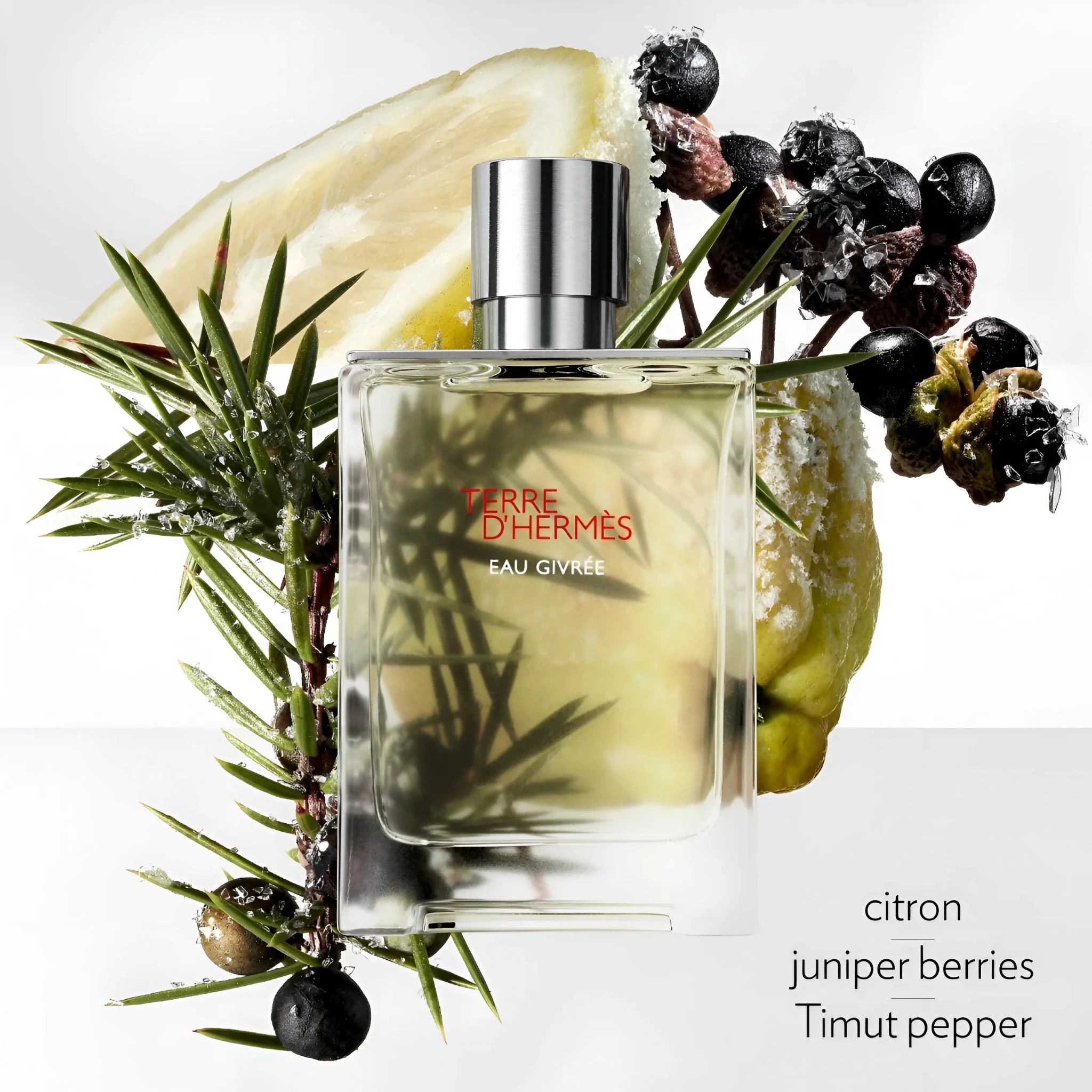 HERMES TERRE D'HERMES EAU GIVREE FOR MEN EDP 175ML REFILLABLE - Al Himyan Perfumes | عطور هميان | Oud & Luxury Fragrances - Hermes