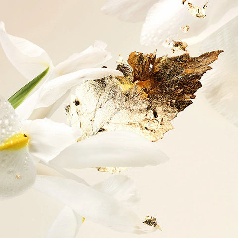 BVLGARI SPLENDIDA PATCHOULI TENTATION FOR WOMEN SET EDP 100ML + EDP 15ML