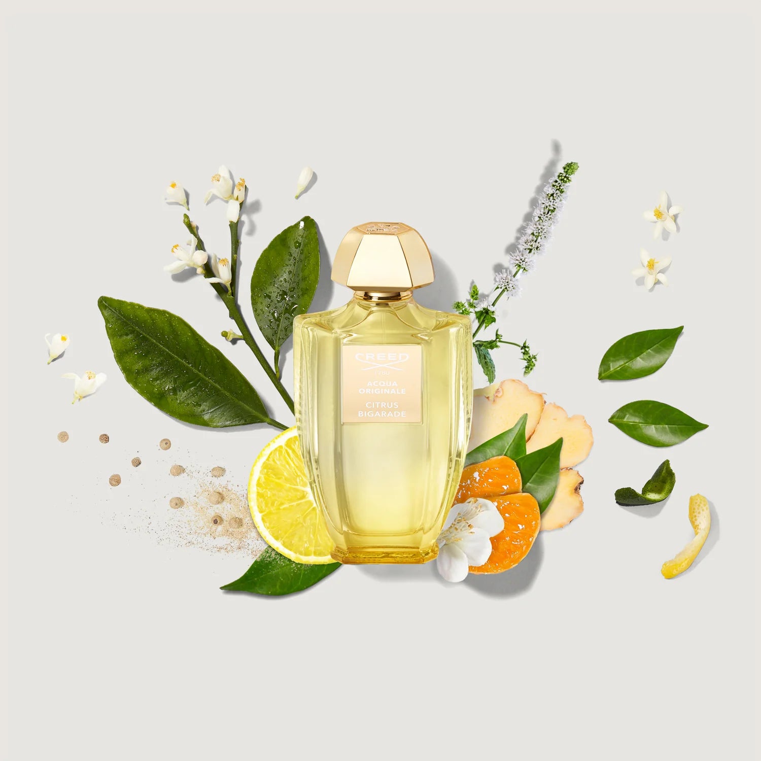 CREED ACQUA ORIGINALE CITRUS BIGARADE UNISEX EDP 100ML - Al Himyan Perfumes | عطور هميان | Oud & Luxury Fragrances - Creed