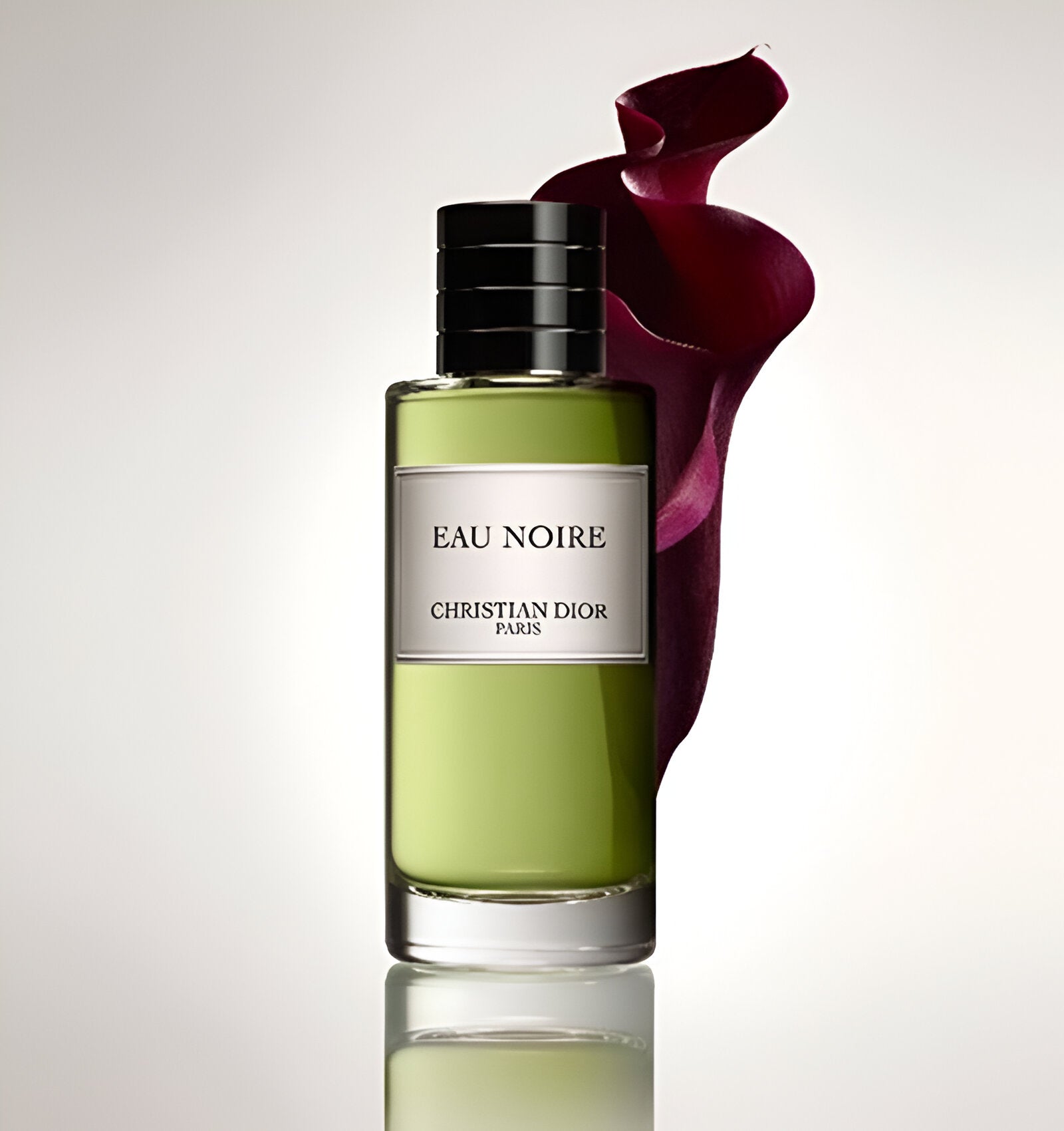 CHRISTIAN DIOR EAU NOIRE UNISEX EDP - Al Himyan Perfumes | عطور هميان | Oud & Luxury Fragrances - Dior