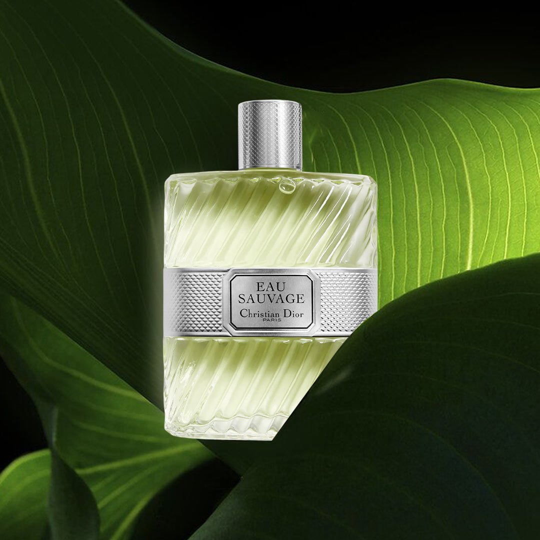 CHRISTIAN DIOR EAU SAUVAGE FOR MEN COLOGNE 100ML - Al Himyan Perfumes | عطور هميان | Oud & Luxury Fragrances - Dior