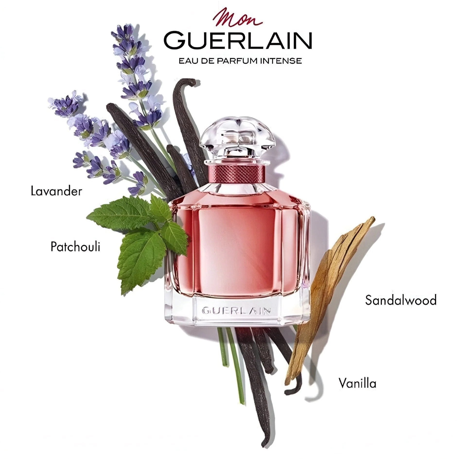 GUERLAIN MON FOR WOMEN EDP INTENSE 50ML - Al Himyan Perfumes | عطور هميان | Oud & Luxury Fragrances - Guerlain