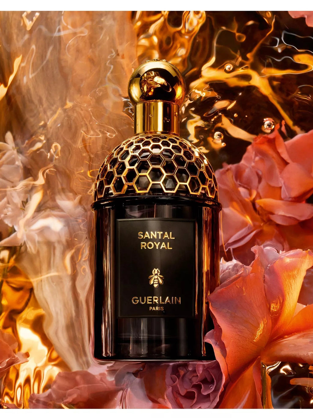 GUERLAIN ABSOLUS ALLEGORIA SANTAL ROYAL UNISEX EDP 125ML - Al Himyan Perfumes | عطور هميان | Oud & Luxury Fragrances - Guerlain