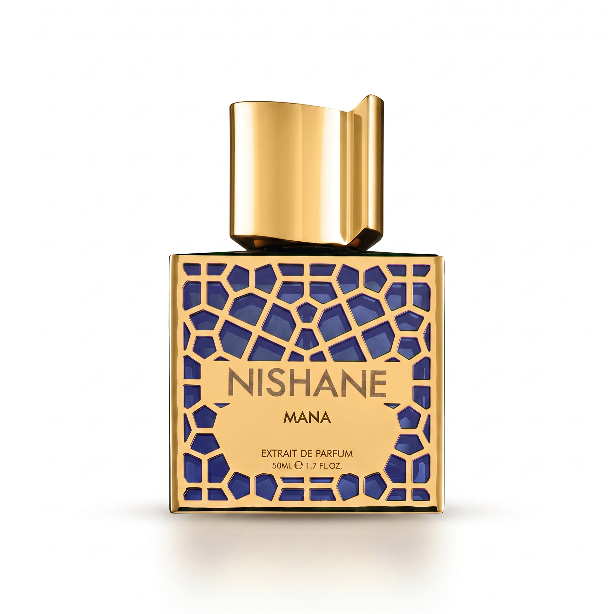 NISHANE MANA UNISEX EXTRAIT DE PARFUM 50ML الصورة الرئيسية