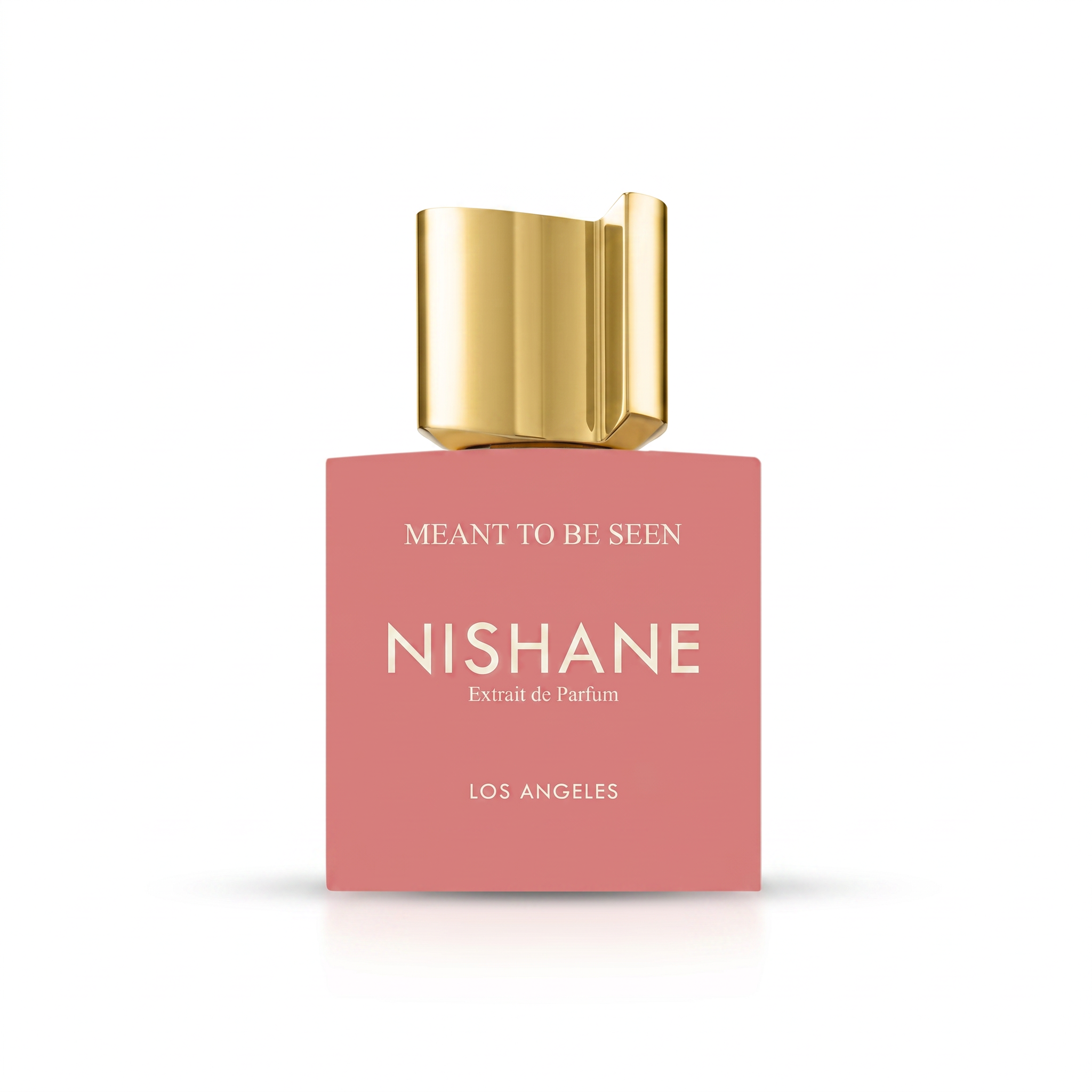 NISHANE MEANT TO BE SEEN UNISEX EXTRAIT DE PARFUM 100ML