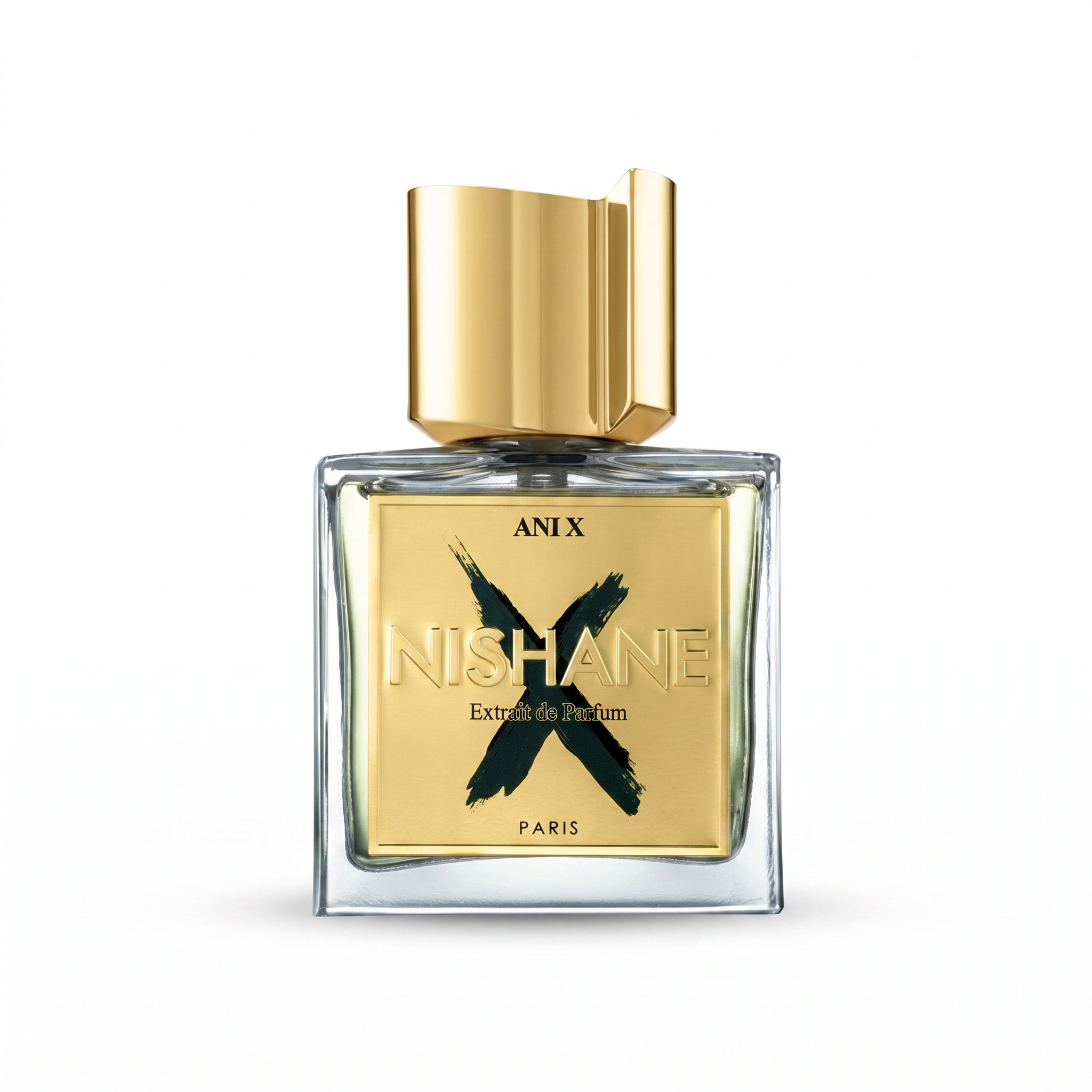 NISHANE ANI X UNISEX EXTRAIT DE PARFUM 100ML الصورة الرئيسية