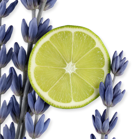 بيرفيومز دي مارلي بيرسيفال للجنسين أو دي بارفان