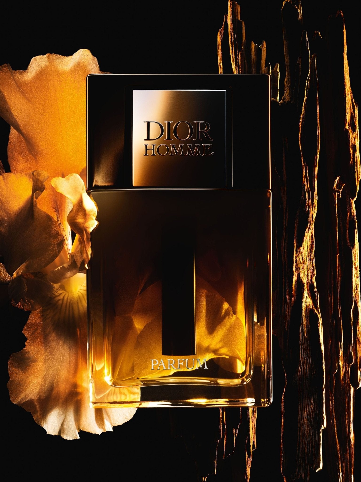 CHRISTIAN DIOR DIOR HOMME FOR MEN PARFUM Secondary image