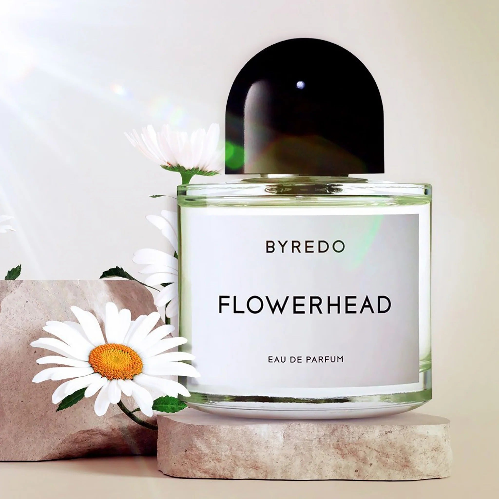 BYREDO FLOWERHEAD EDP - Al Himyan Perfumes | عطور هميان | Oud & Luxury Fragrances - BYREDO