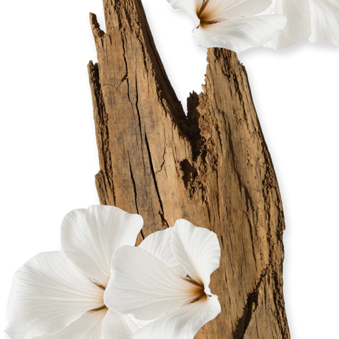 Parfums De Marly Valaya for Women - Eau De Perfum