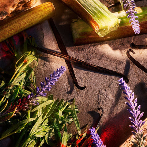 ROJA PARFUMS DANGER POUR HOMME EDP