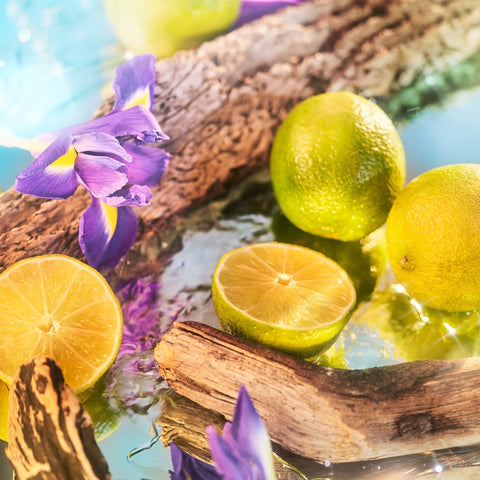 عطر روجا أوقيانوسيا للجنسين 50 مل