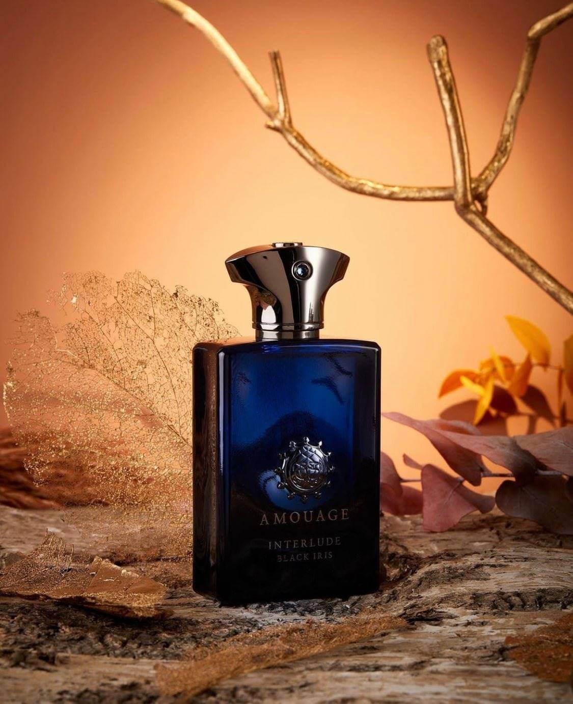 AMOUAGE INTERLUDE BLACK IRIS UNISEX EDP 100ML - Al Himyan Perfumes | عطور هميان | Oud & Luxury Fragrances - Amouage