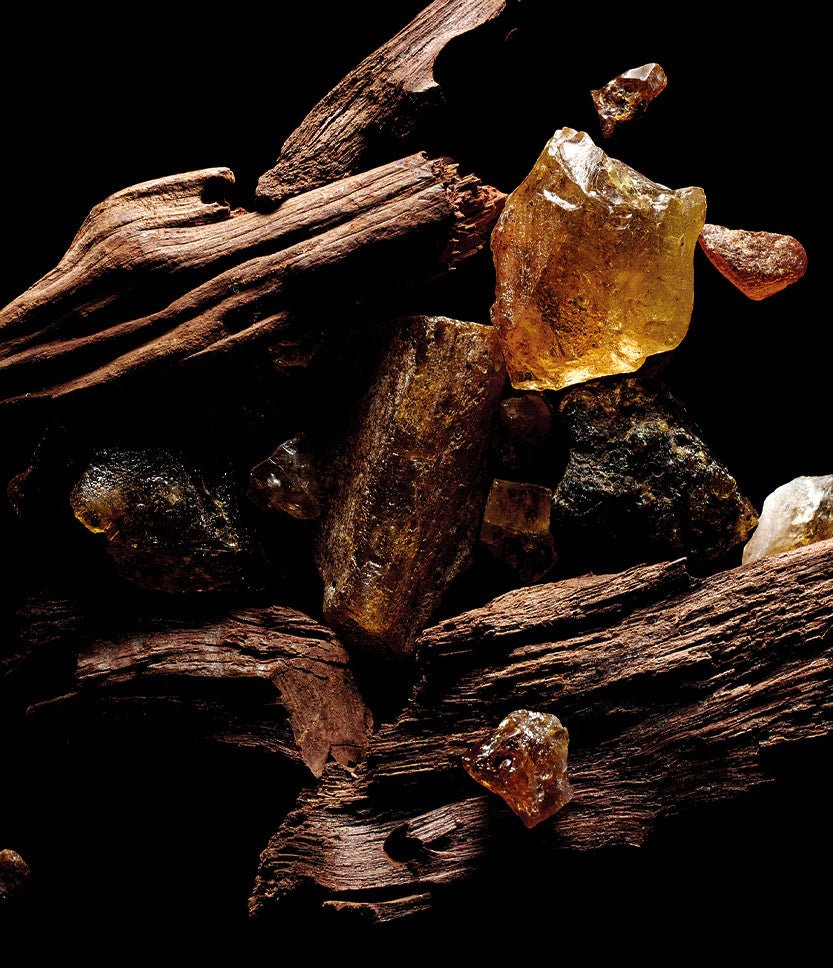 KILIAN SACRED WOOD EDP UNISEXE Image secondaire du produit