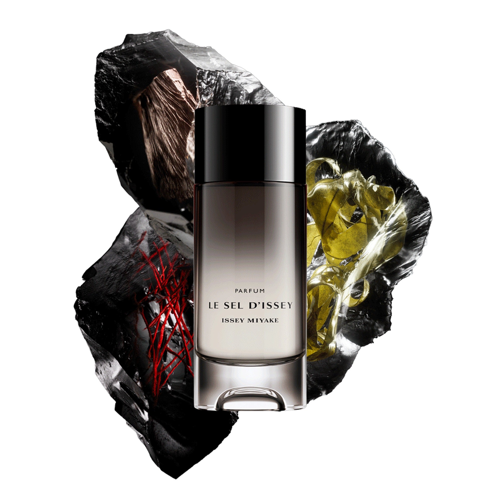 ISSEY MIYAKE LE SEL D'ISSEY FOR MEN PARFUM 100ML Image secondaire du produit