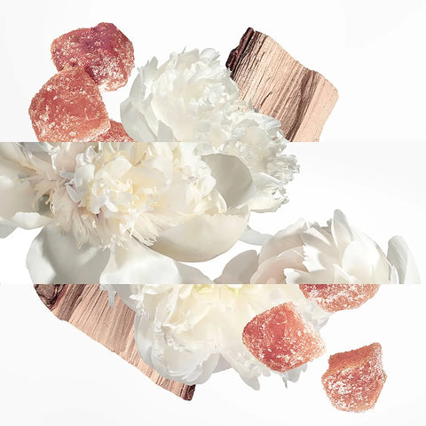 HERMES TWILLY D'HERMES EAU GINGER FOR WOMEN EDP