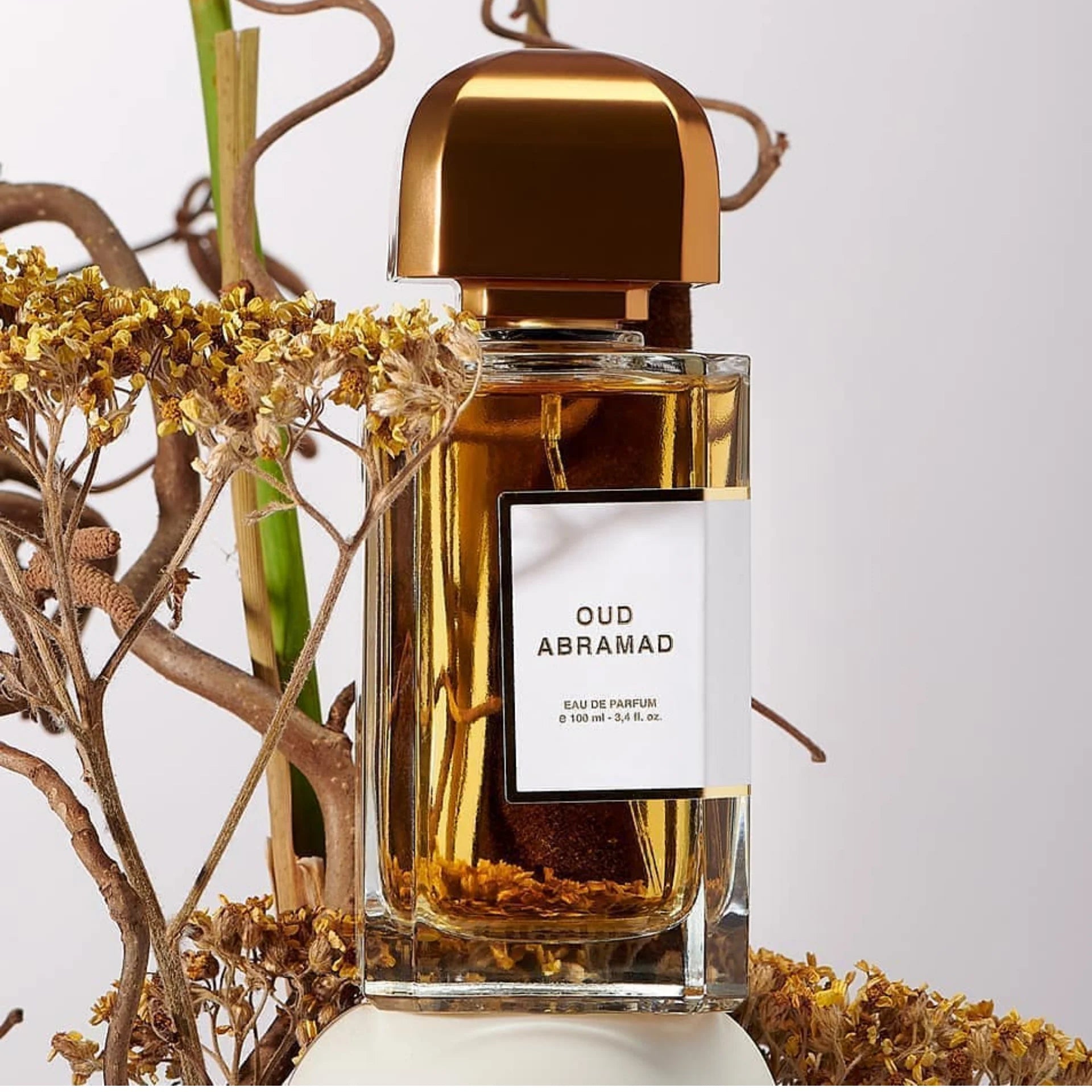 BDK PARFUMS OUD ABRAMAD UNISEX EDP 100ML Secondary image