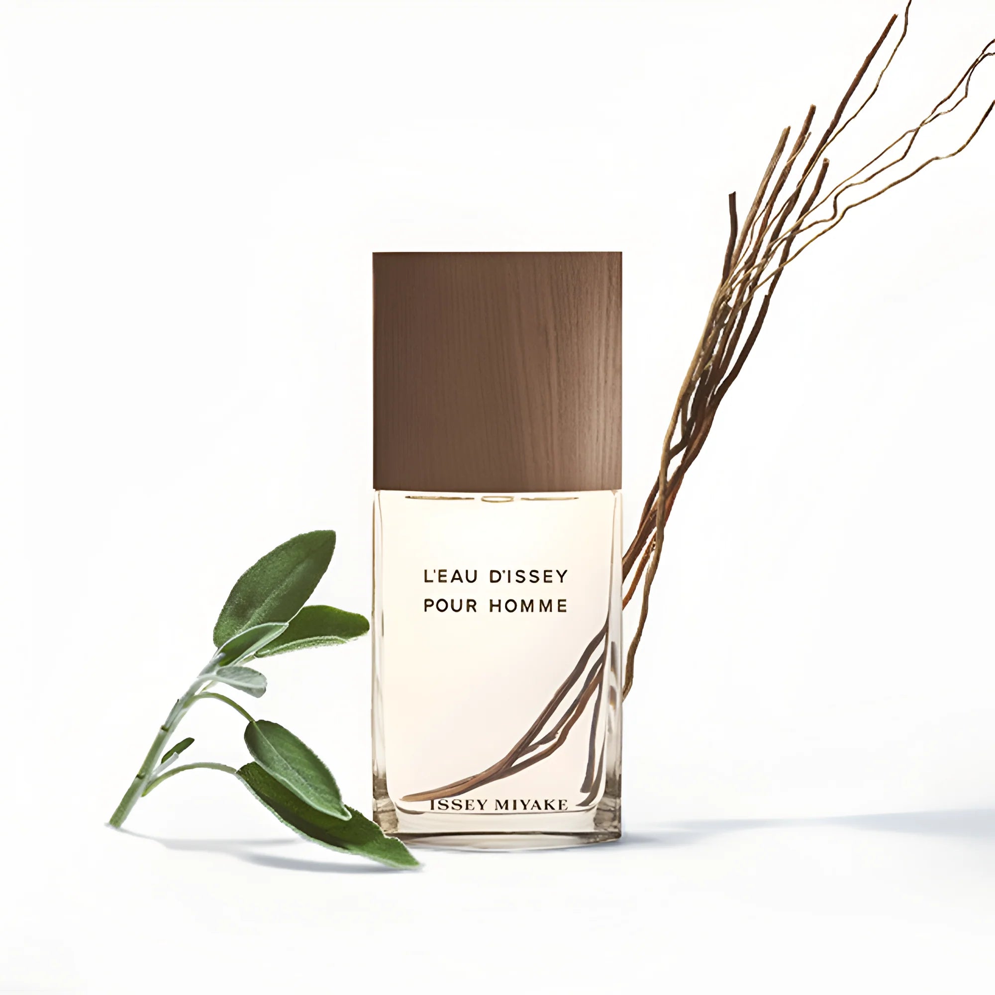 ISSEY MIYAKE L'EAU D'ISSEY POUR HOMME VETIVER FOR MEN EDT INTENSE 100ML - Al Himyan Perfumes | عطور هميان | Oud & Luxury Fragrances - Issey Miyake