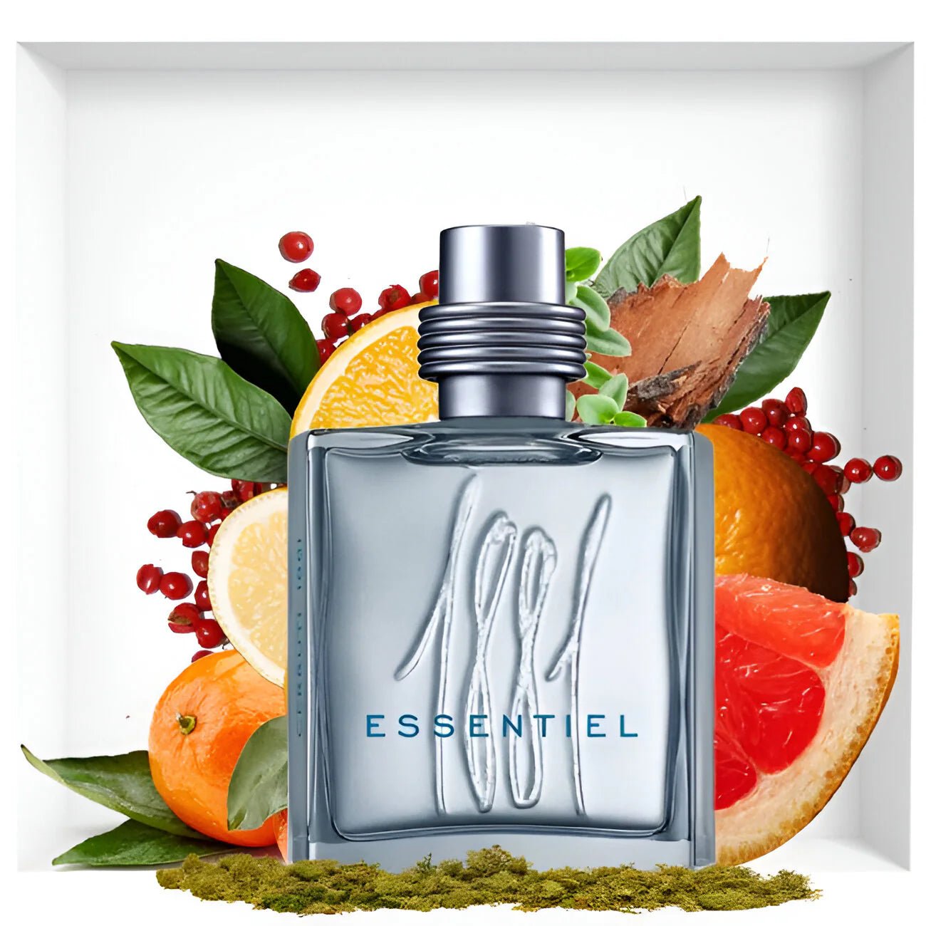 CERRUTI 1881 ESSENTIEL EDT FOR MEN 100ML Secondary image