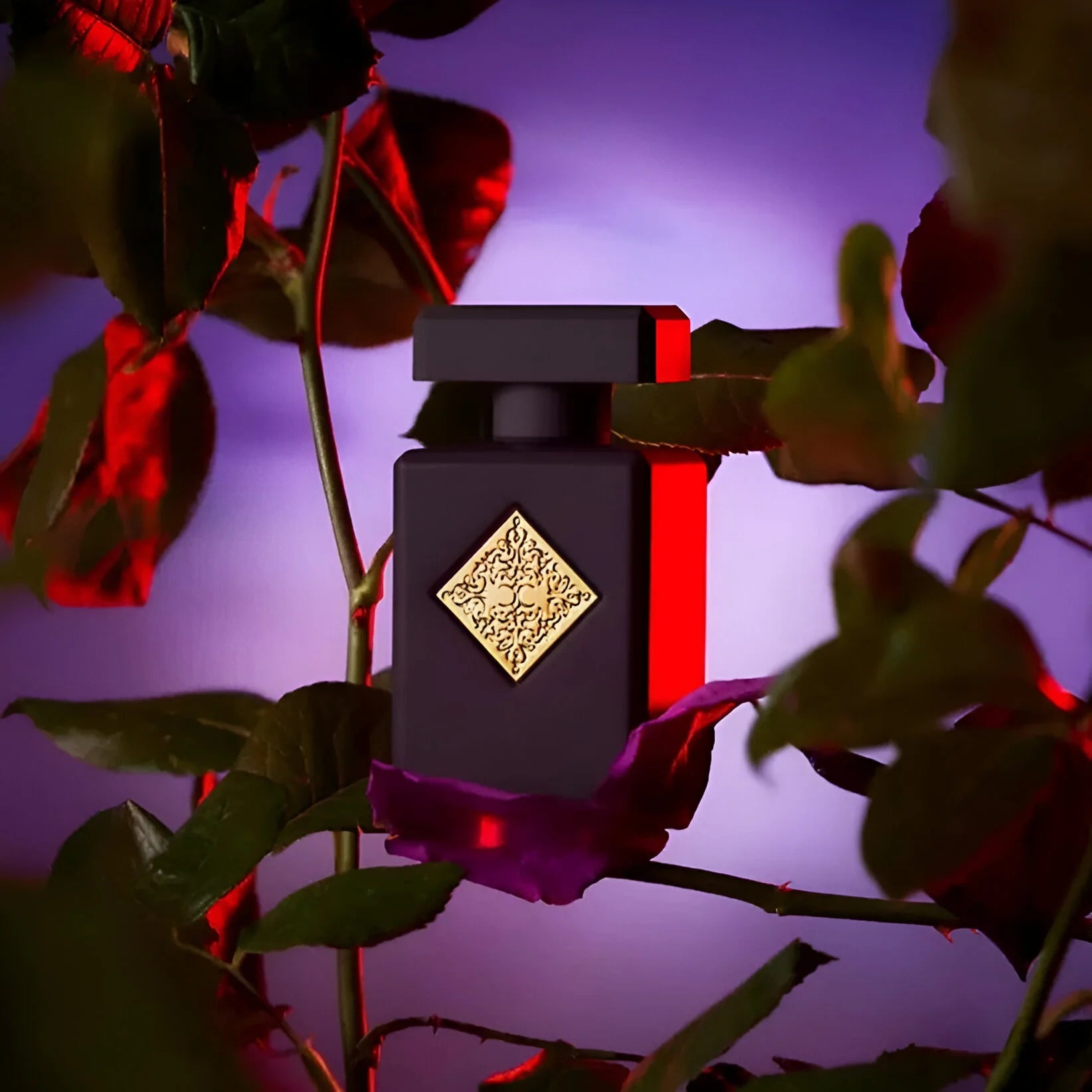 INITIO PARFUMS PRIVÉS THE CARNAL BLENDS COLLECTION ATOMIC ROSE UNISEX EDP 90ML - Al Himyan Perfumes | عطور هميان | Oud & Luxury Fragrances - INITIO PARFUMS PRIVÉS