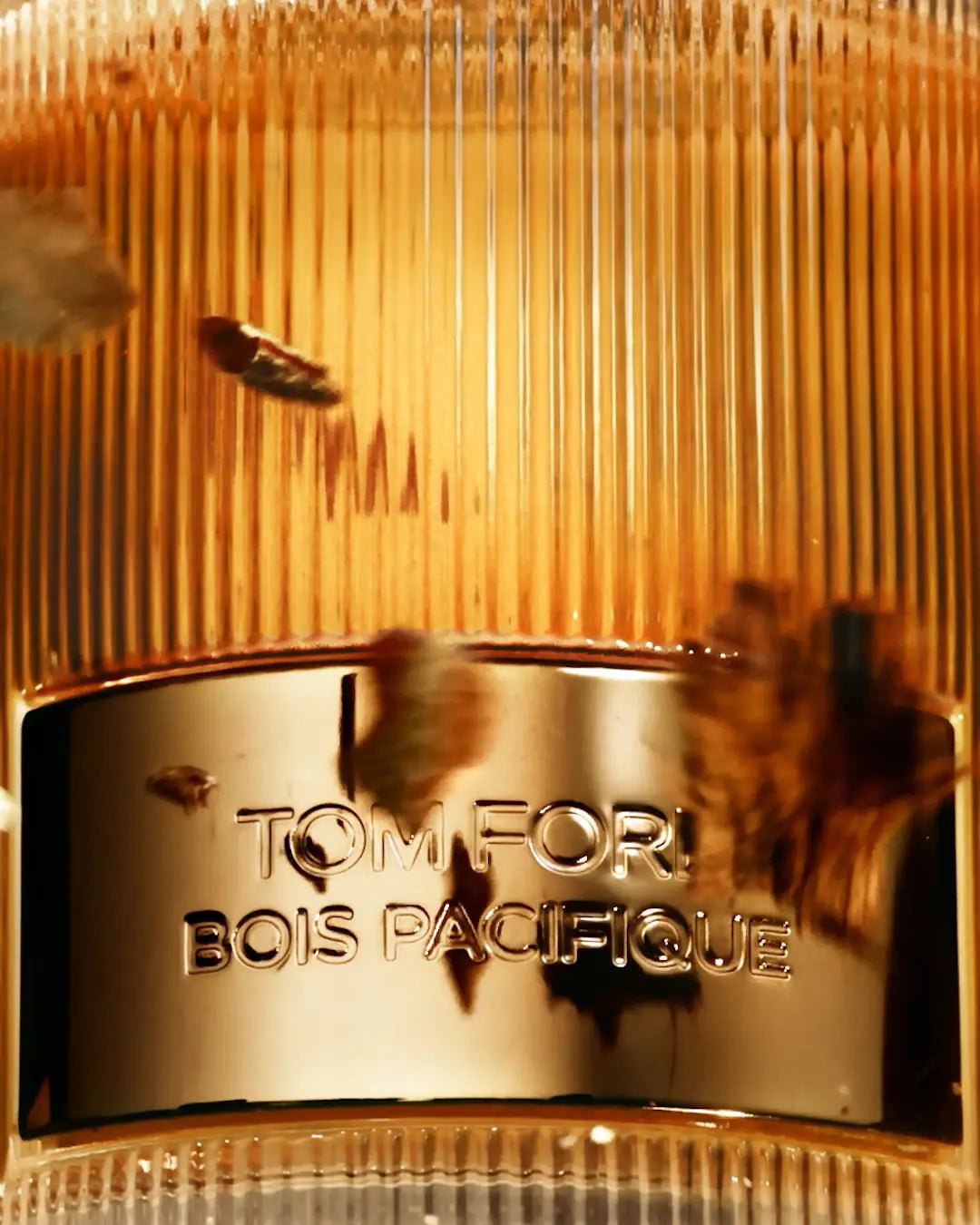 TOM FORD BOIS PACIFIQUE FOR MEN EDP 100ML - Al Himyan Perfumes | عطور هميان | Oud & Luxury Fragrances - Tom Ford