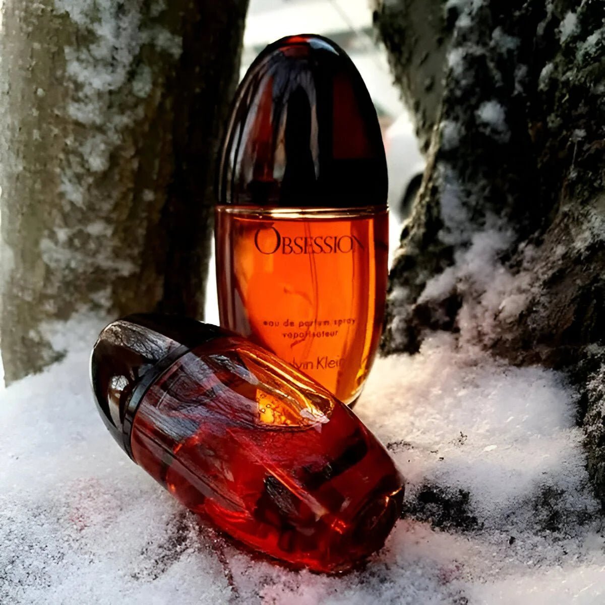 CALVIN KLEIN OBSESSION FOR WOMEN EDP - Al Himyan Perfumes | عطور هميان | Oud & Luxury Fragrances - Calvin Klein