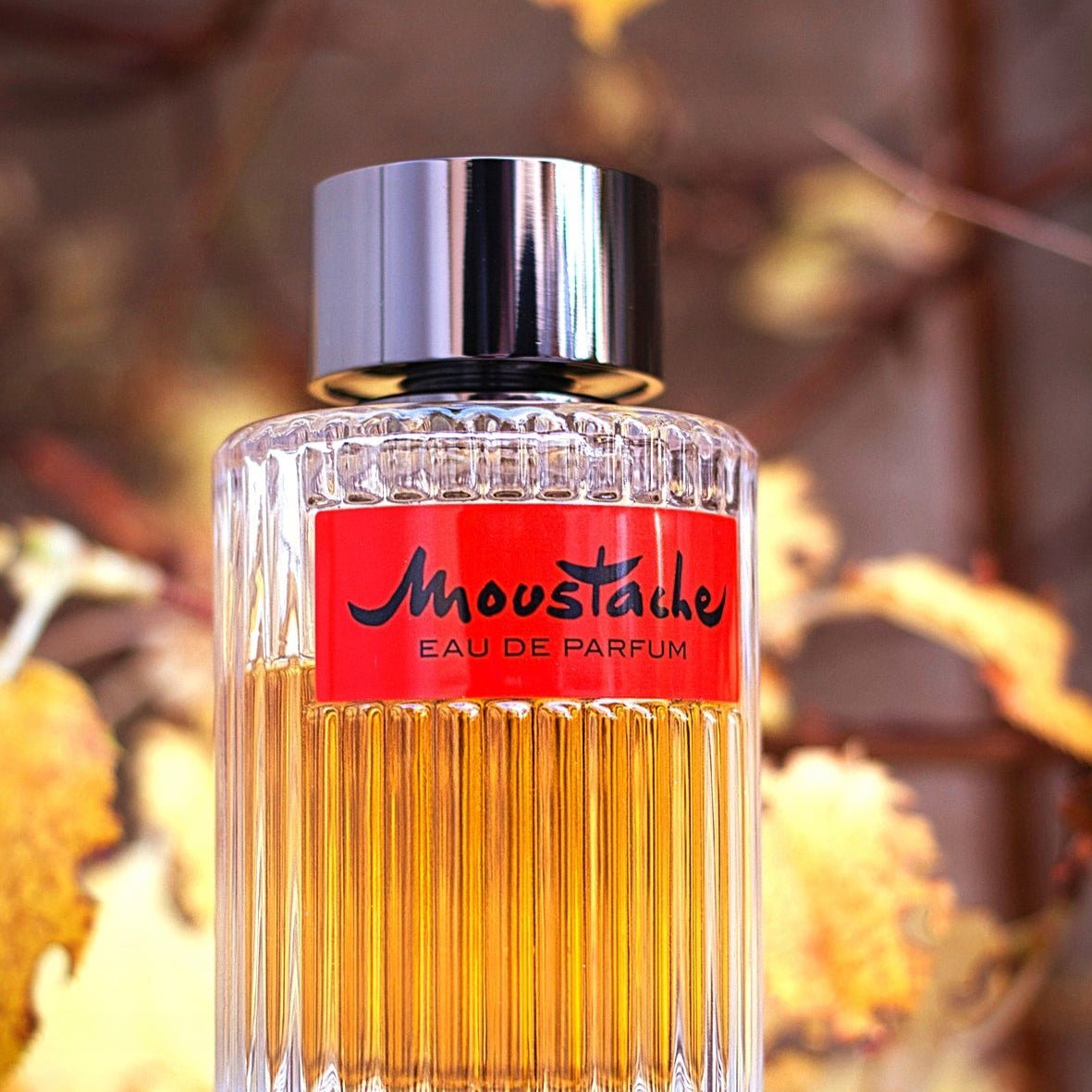 ROCHAS MOUSTACHE MEN EDP - Al Himyan Perfumes | عطور هميان | Oud & Luxury Fragrances - ROCHAS
