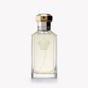 Versace the Dreamer EDT for Men 100ml bottle