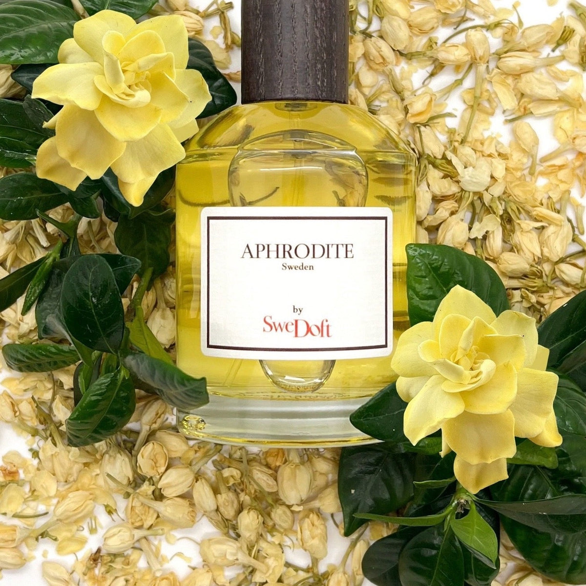 SweDoft Aphrodite Eau de Parfum 100ml with its notes