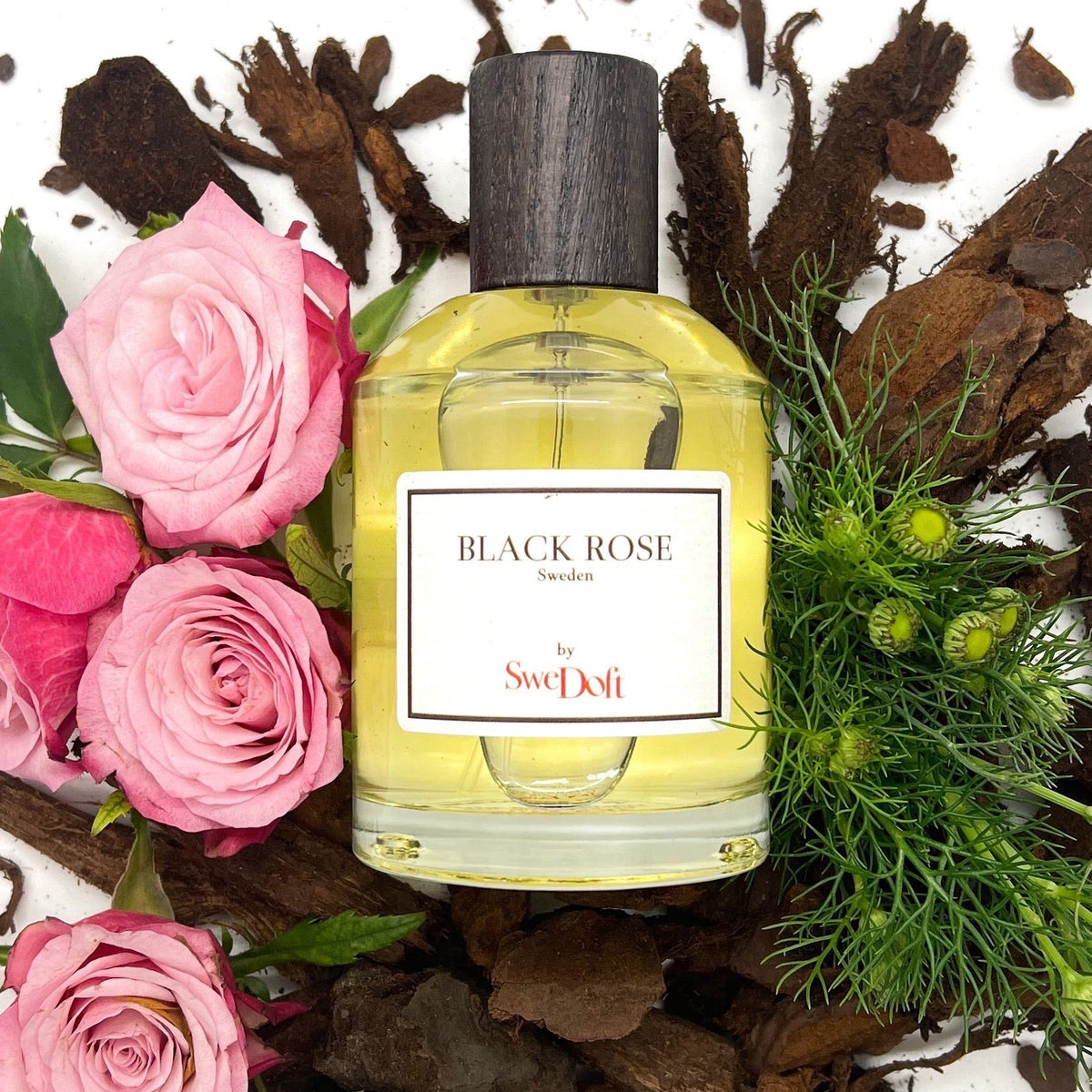 SWEDOFT BLACK ROSE UNISEX EDP 100ML - Al Himyan Perfumes | عطور هميان | Oud & Luxury Fragrances - SweDoft