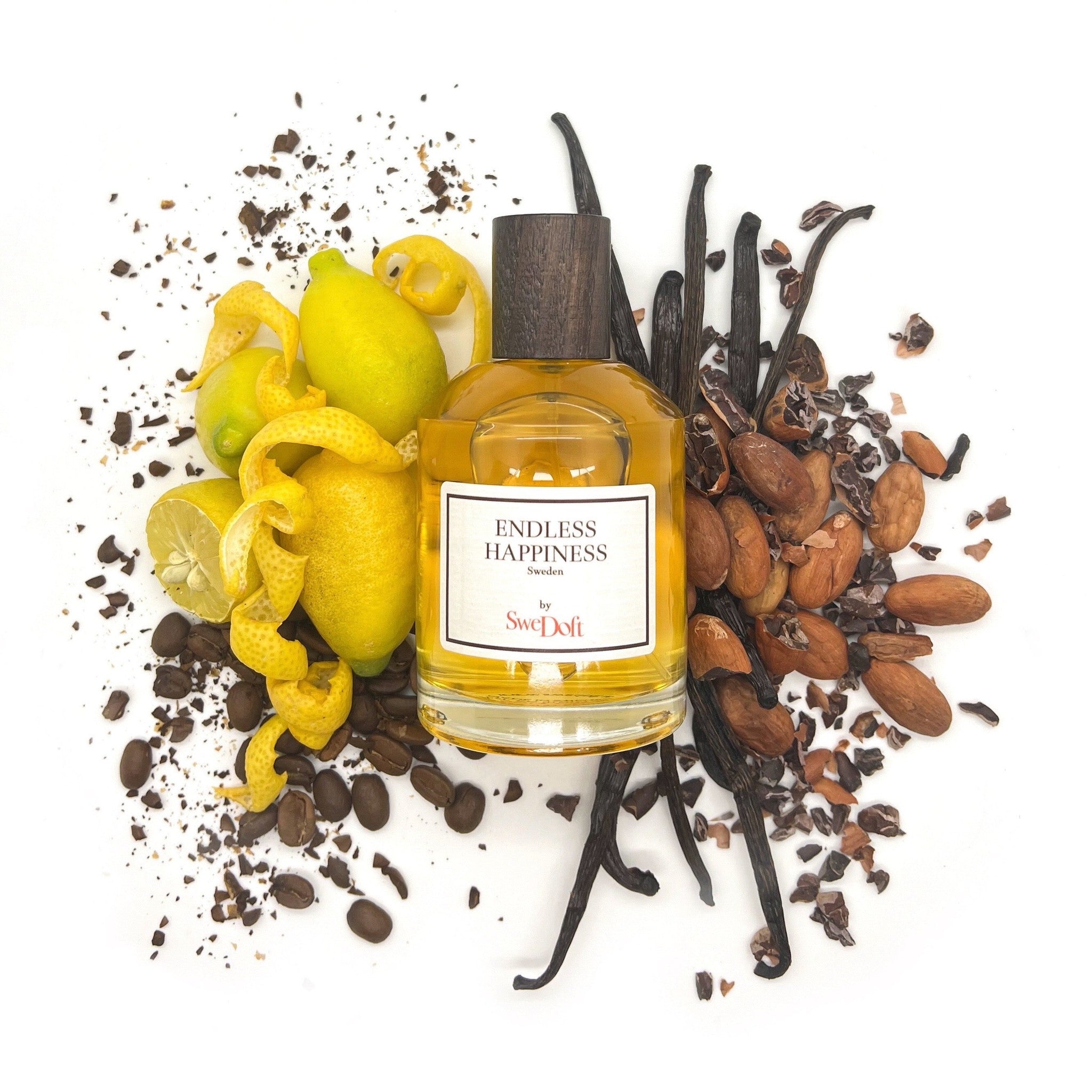 SWEDOFT ENDLESS HAPPINESS FOR MEN EDP 100ML Secondary image