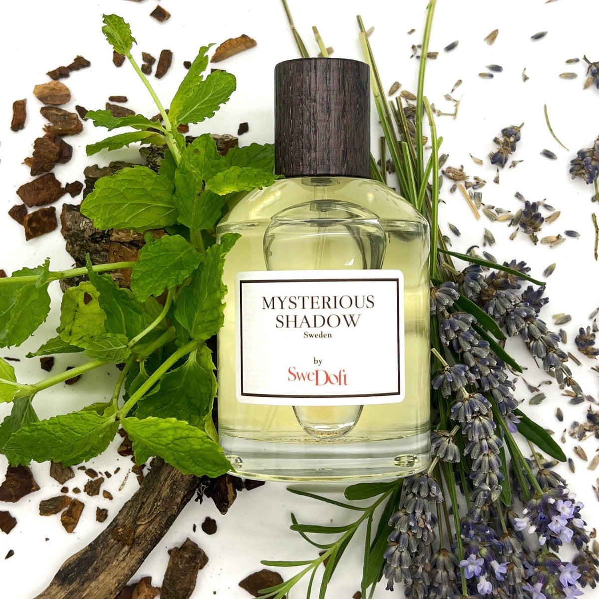 SweDoft Mysterious Shadow Eau de Parfum 100ml with its notes