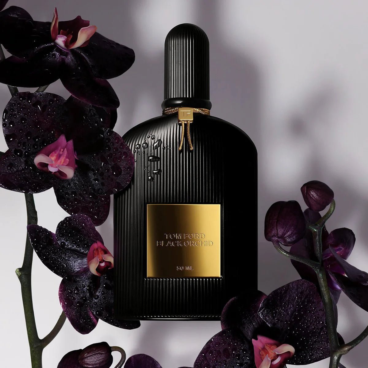 TOM FORD BLACK ORCHID FOR WOMEN EDP 100ML - Al Himyan Perfumes | عطور هميان | Oud & Luxury Fragrances - Tom Ford