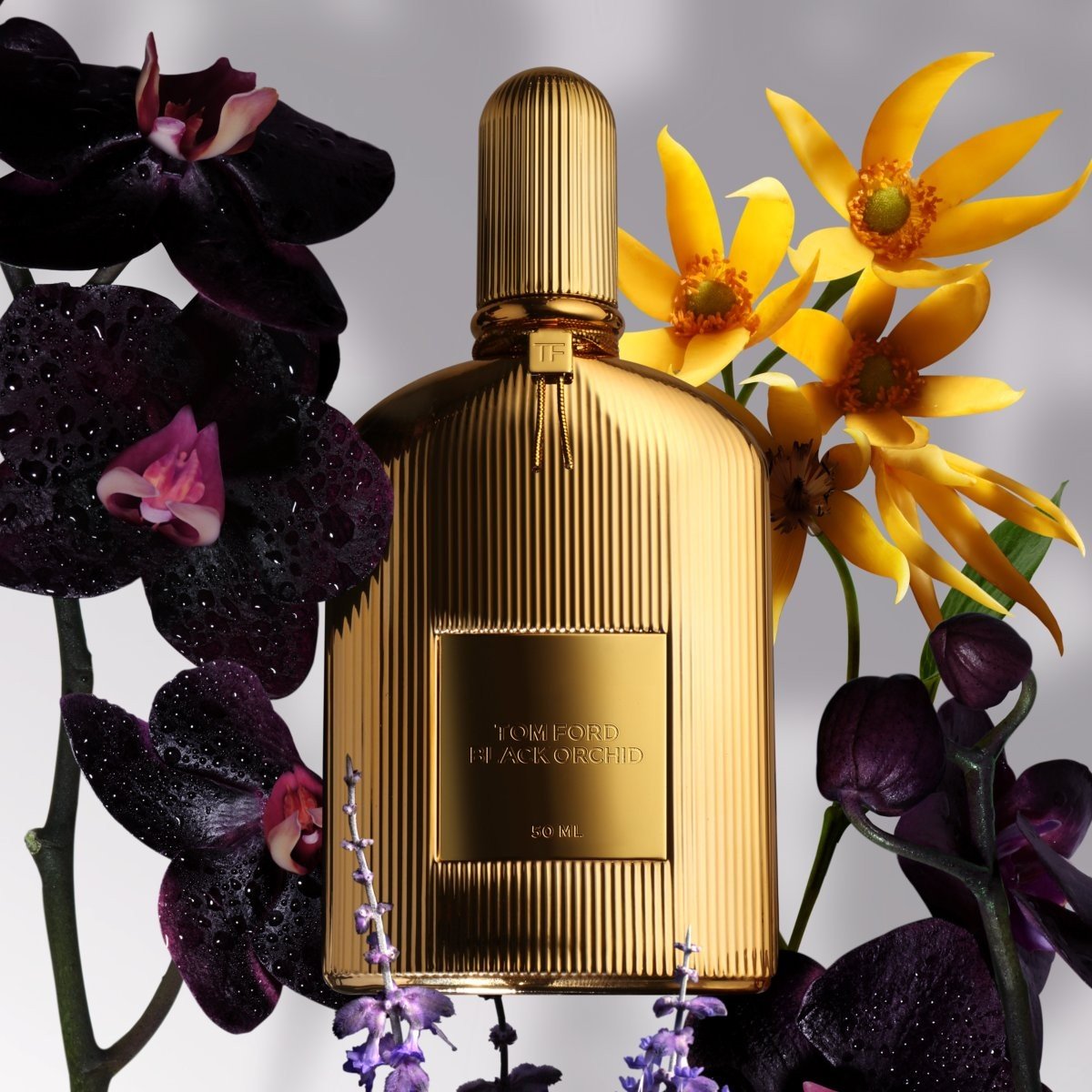 TOM FORD BLACK ORCHID UNISEX PARFUM 100ML - Al Himyan Perfumes | عطور هميان | Oud & Luxury Fragrances - Tom Ford