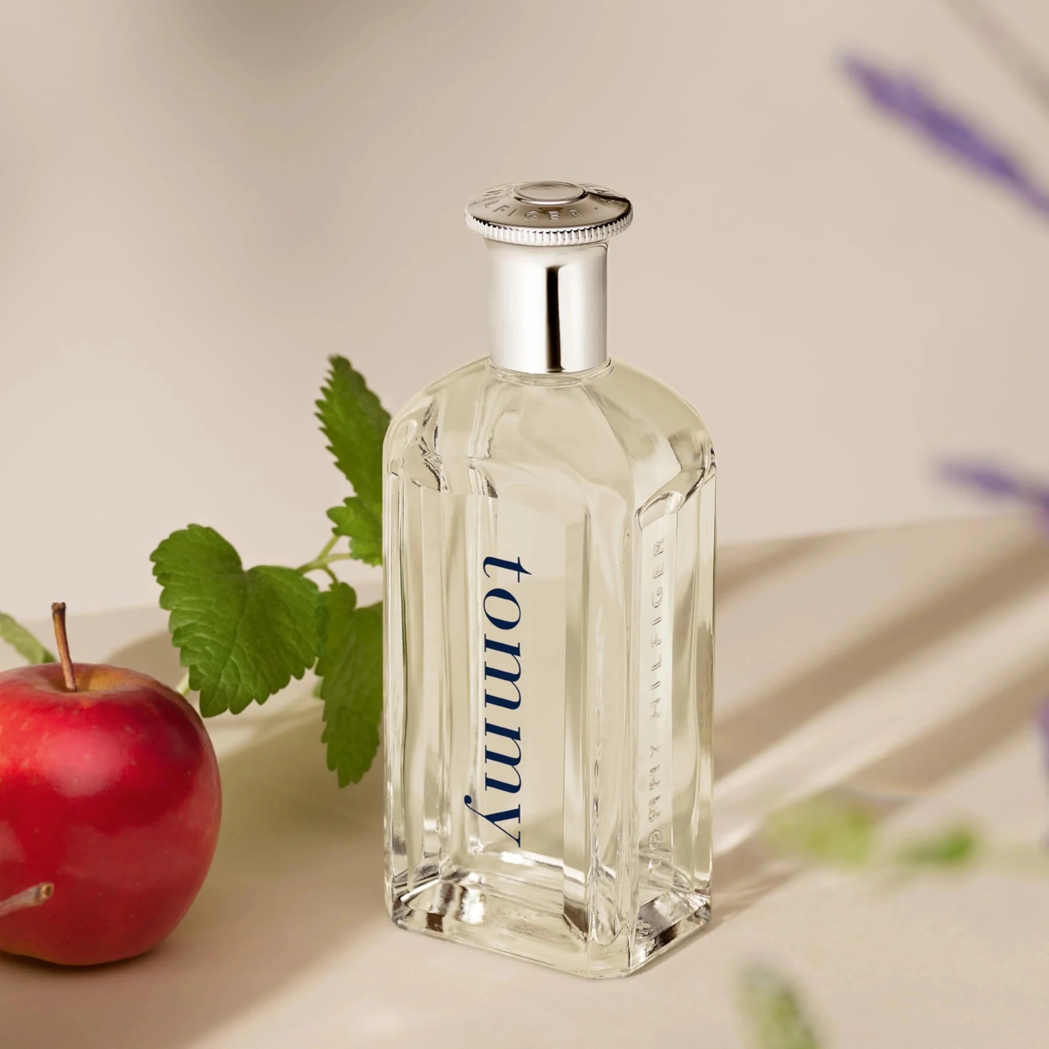 TOMMY HILFIGER TOMMY FOR MEN EDT 100ML - Al Himyan Perfumes | عطور هميان | Oud & Luxury Fragrances - Tommy Hilfiger