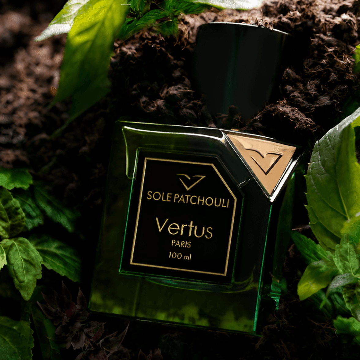 VERTUS SOLE PATCHOULI UNISEX EDP 100ML - Al Himyan Perfumes | عطور هميان | Oud & Luxury Fragrances - VERTUS